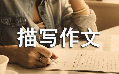 初三人物描写作文合集七篇