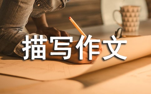 ���ڳ���������д���Ļ���9ƪ