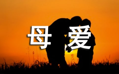 母爱初二作文(汇编15篇)