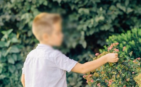 ��ѡ�Ǹ��к�����500����ƪ