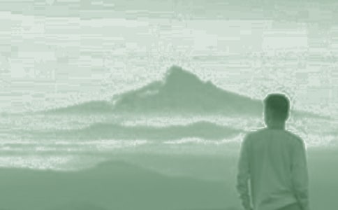 ���Ӻ�����500�֣���ѡ10ƪ��