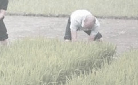 ��ũ������600��3ƪ