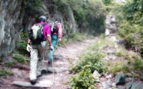 ��ɽ������500��6ƪ