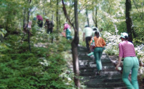 ��ѡ��ɽ�μ�����8ƪ