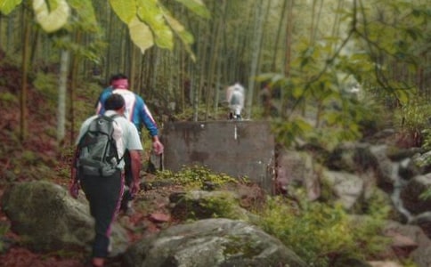 д��ɽ����650�֣���ѡ12ƪ��