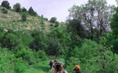 ���Ƽ�����ɽ����600��10ƪ