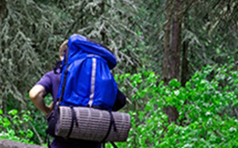 д��ɽ����800�֣���ѡ28ƪ��