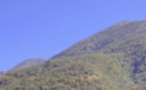 д��ɽ������500�֣�ͨ��93ƪ��