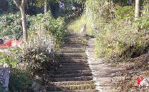 爬山的优秀作文200字