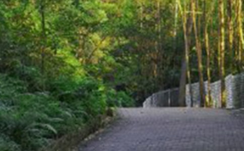 ��ɽ���꼶����15ƪ