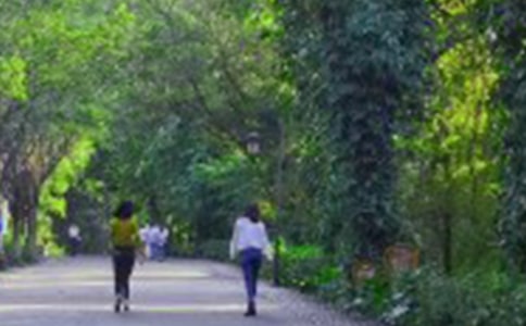 �й���ɽ�μ�����6ƪ