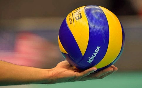 排球的作文350字