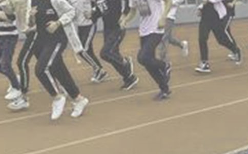 ����ѡ���ܲ�����300����ƪ