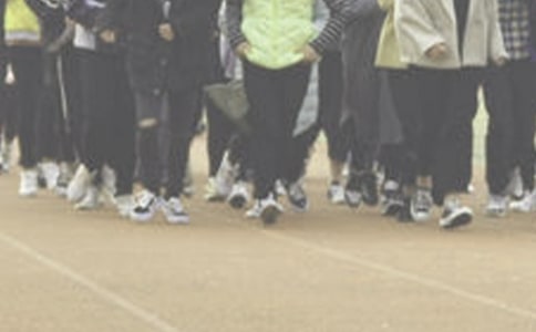 �ܲ�����600��3ƪ