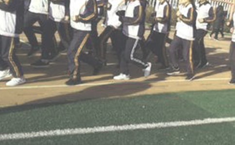 ��ѡ�ܲ�����300��3ƪ