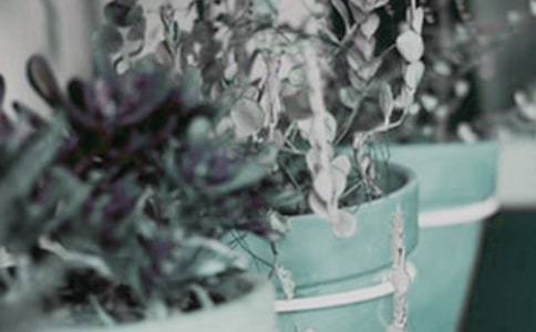 ��ѡ��������300��5ƪ