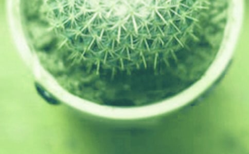 ������������300��3ƪ