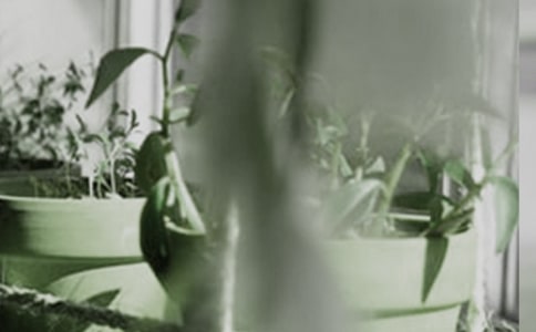 ��������300��9ƪ