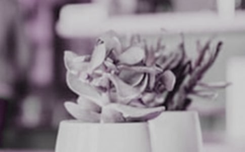 ����������������300����ƪ