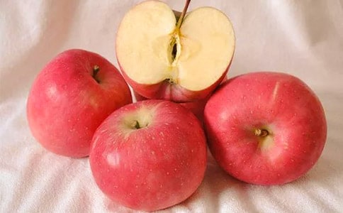 ʵ�õ����꼶ƻ������5ƪ