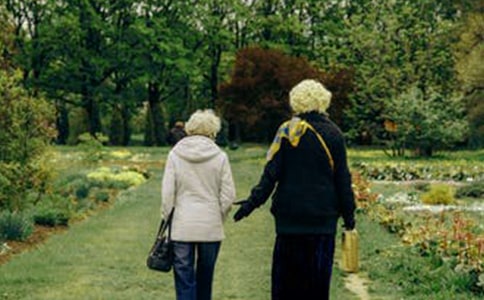 ���������š��и�