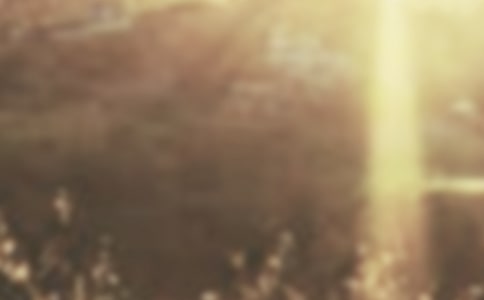 ����700�����ļ���