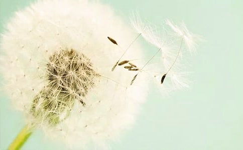 �ѹ�Ӣ����500��8ƪ