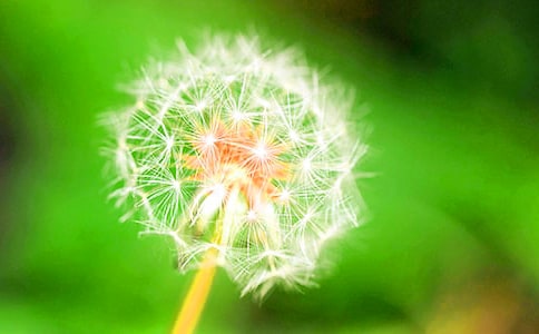 �ѹ�Ӣ������500�֡���Ʒ6ƪ��