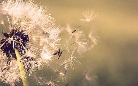 �����ϡ��ѹ�Ӣ������300��