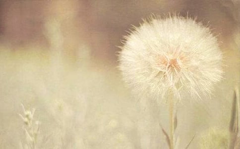 д�ѹ�Ӣ�ĳ�������600�֣���ѡ29ƪ��