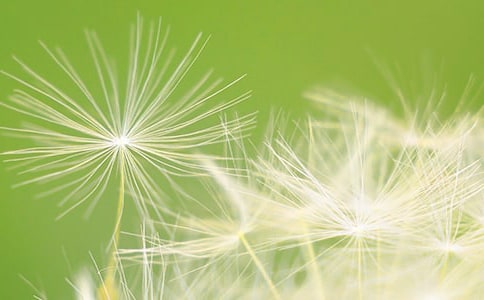 �ѹ�Ӣ������500��