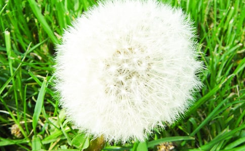 �����ѹ�Ӣ������800�֣���ѡ25ƪ��