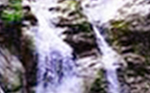 ��ѡ�����ٲ�����300��3ƪ