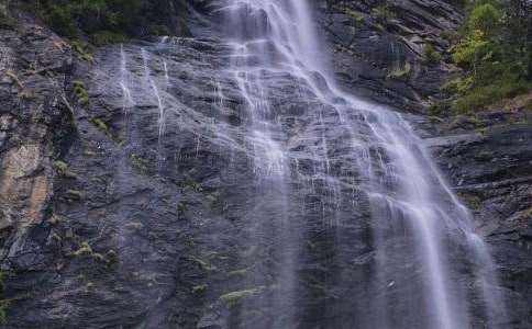 �������ٲ������15ƪ