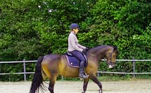 ������������300��