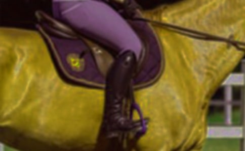 骑马作文300字3篇