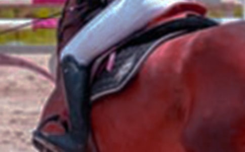 ����������ģ�����