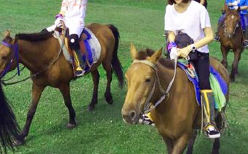 ��һ��������������