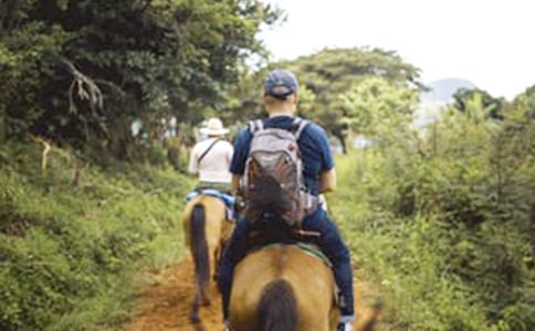 ��ѡ��������300�־�ƪ