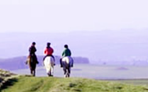 ����Ʒ����������300��7ƪ