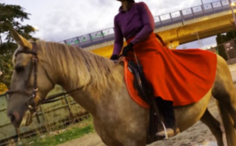 ��ԭ������