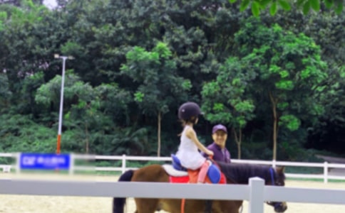 【精华】骑马作文300字九篇