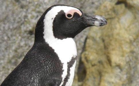 ��������400��