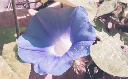 ǣţ���������ģ�ͨ��30ƪ��