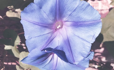 ǣţ��400������ʾ��