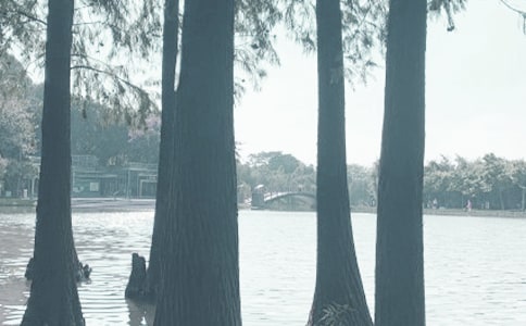 ǧ�ƺ�д������3ƪ