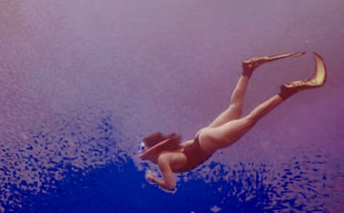 潜水作文500字大全【6篇】