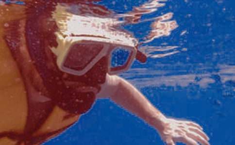 ǱˮСѧ����(15ƪ)