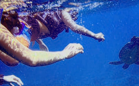 ǱˮСѧ����