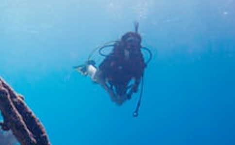 ǱˮСѧ����